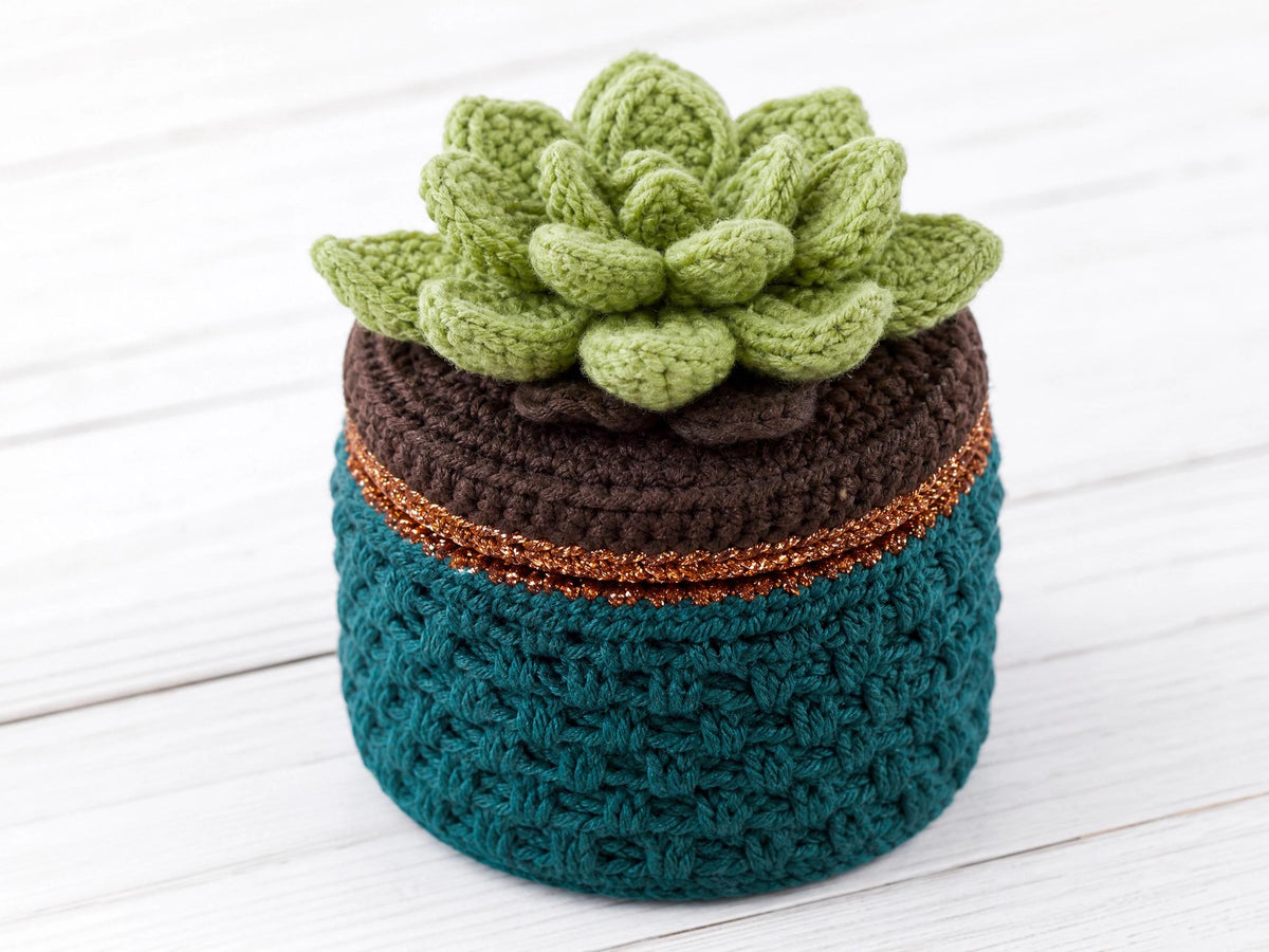 Crochet Succulent Jewelry Box Pattern – Beginner Friendly Echeveria Trinket Box (PDF)