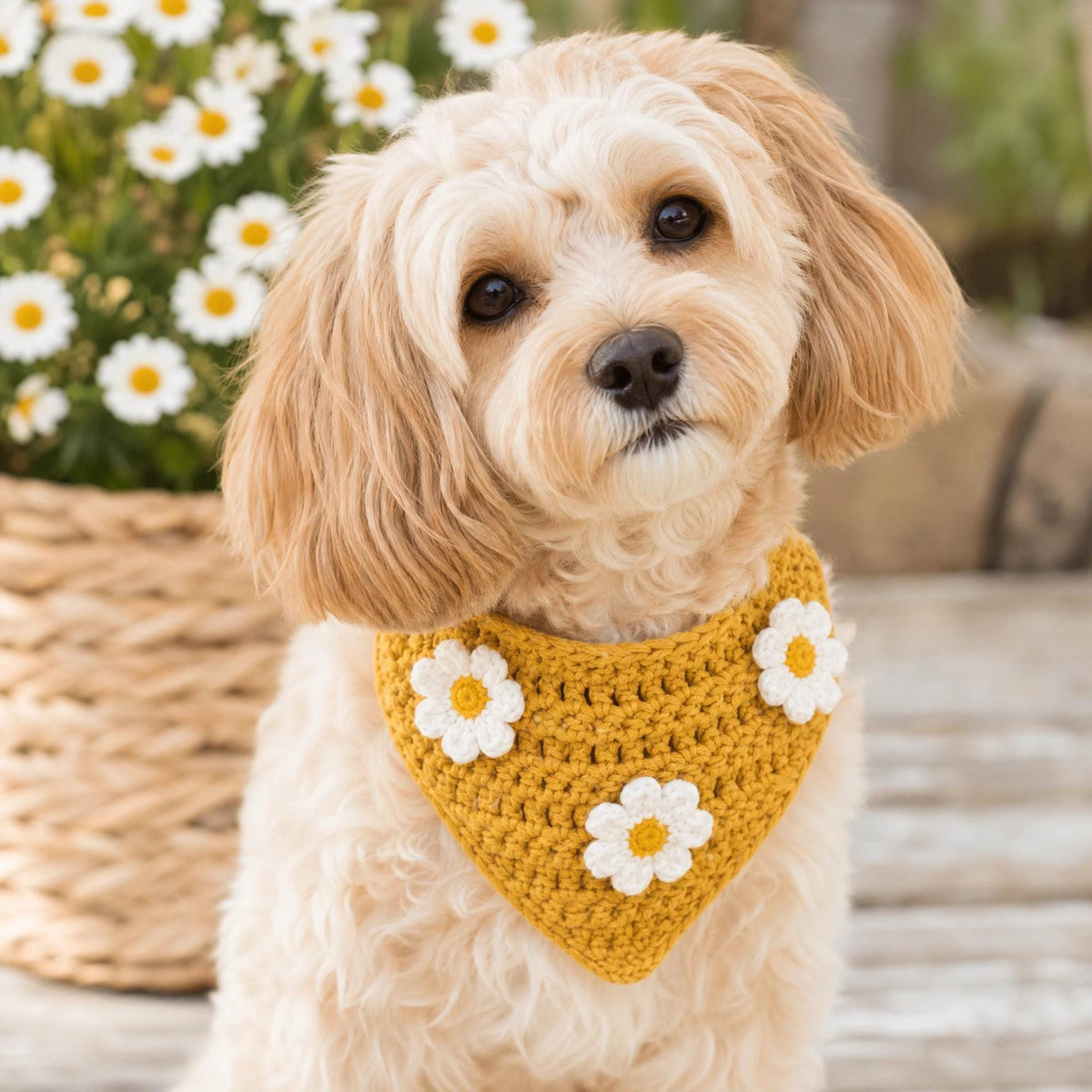 Daisy Dog Bandana Crochet Pattern – Adjustable Pet Accessory PDF (Digital Download)