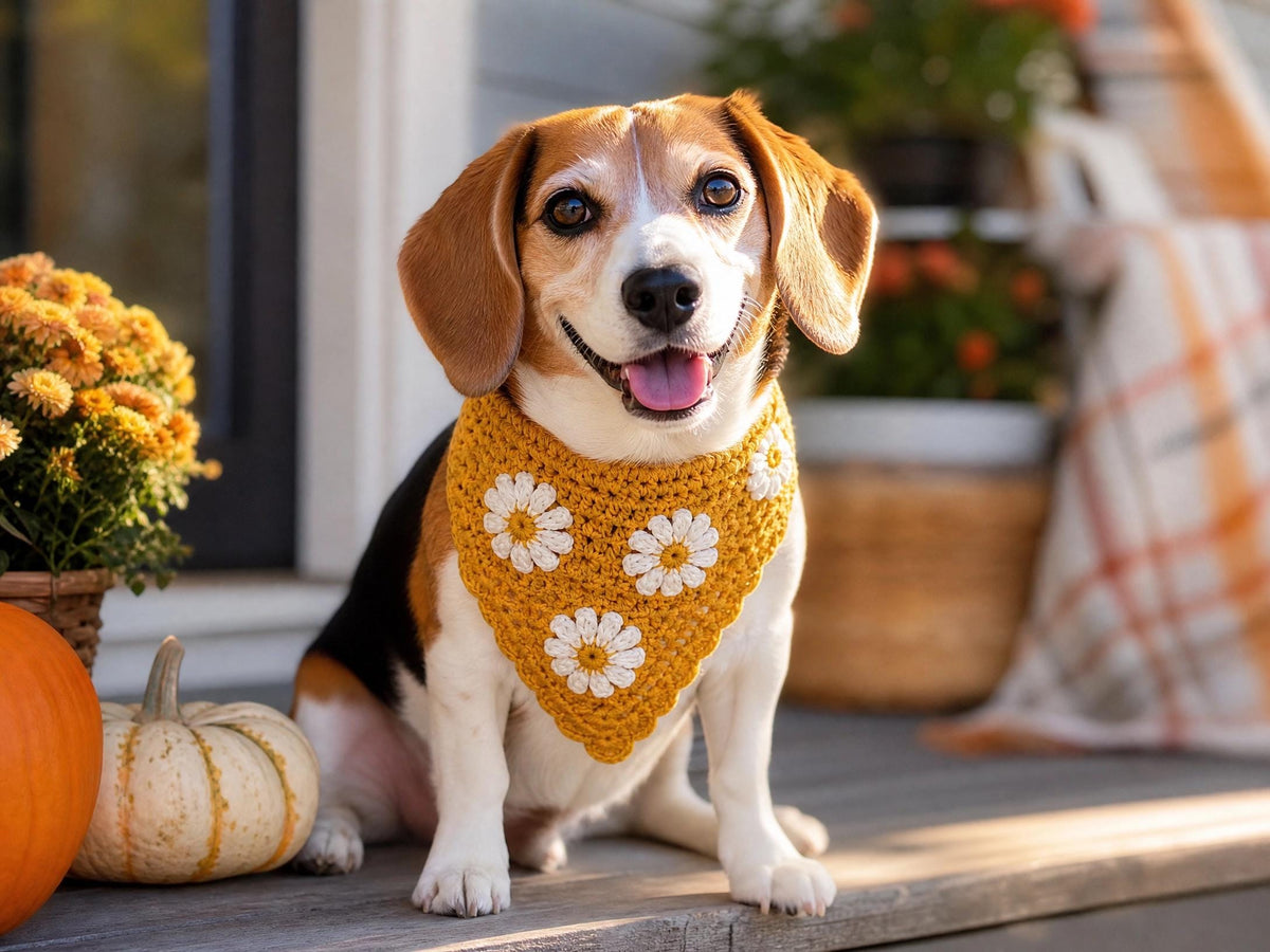 Daisy Dog Bandana Crochet Pattern – Adjustable Pet Accessory PDF (Digital Download)