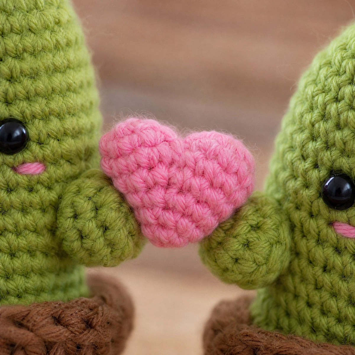 Amigurumi Crochet Pattern – Cacti Couple with Heart (Beginner PDF Download)